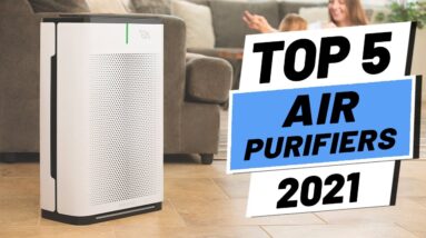 Top 5 BEST Air Purifier (2021)
