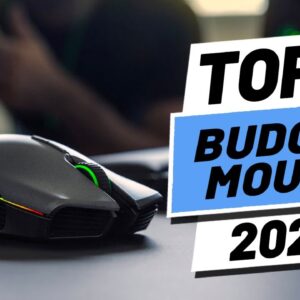 Top 5 BEST Budget Mouse of [2021]