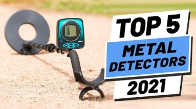 Top 5 BEST Metal Detectors of [2021]