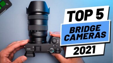 Top 5 BEST Bridge Cameras of [2021]
