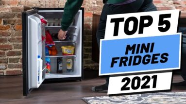 Top 5 BEST Mini Fridges of [2021]