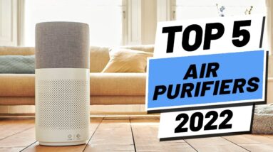 Top 5 BEST Air Purifiers of (2022)