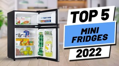Top 5 BEST Mini Fridge of [2022]